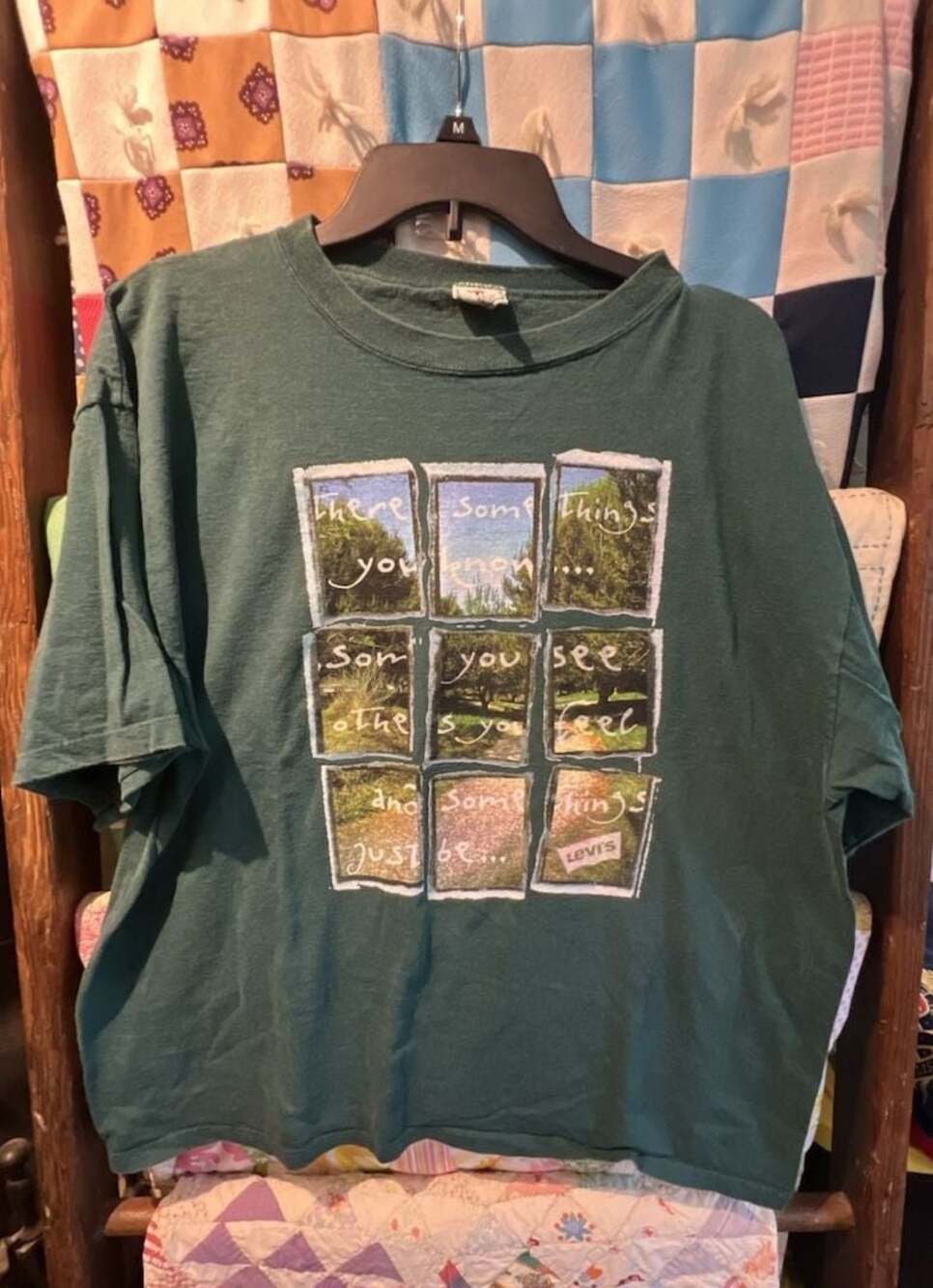Vintage 90s Levi's Jeans For Women Nature Landscape Graphic T-Shirt M/L Made in